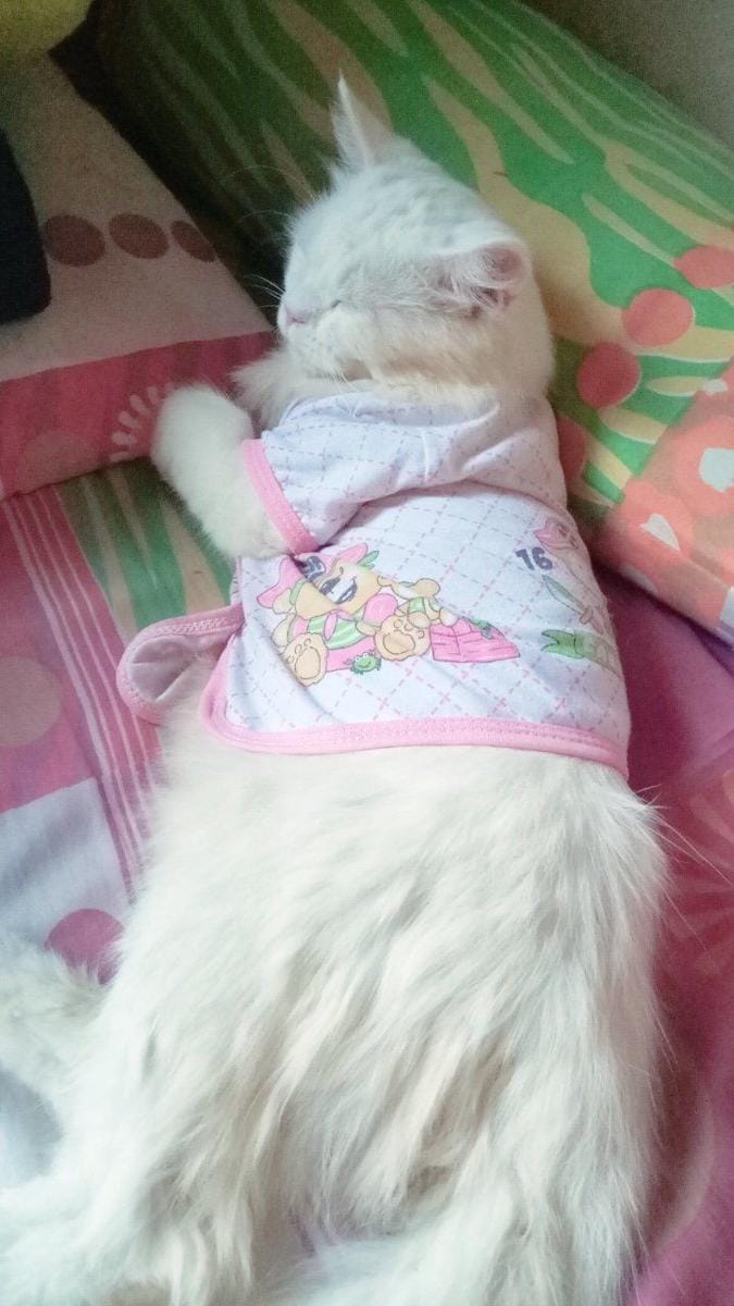 Twitter.com/damaya_e