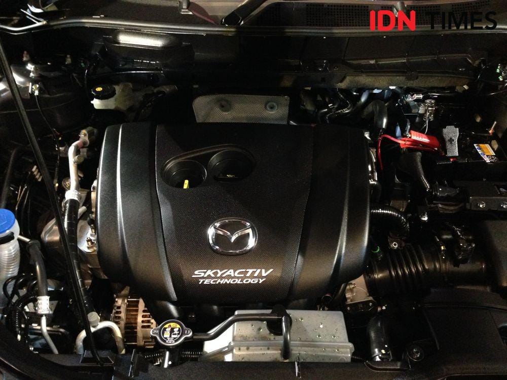 Dok. IDN Times/Aditya Perdana Putra