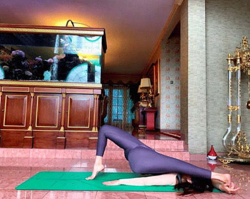 instagram.com/inul.d