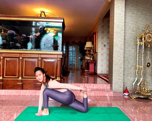 instagram.com/inul.d