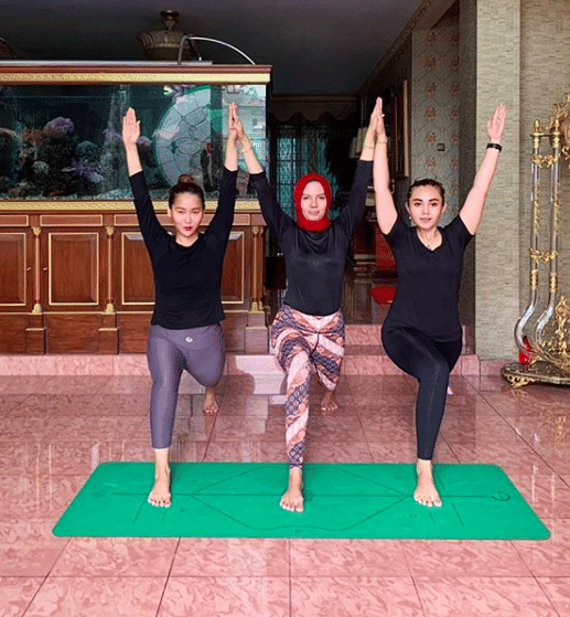 instagram.com/inul.d