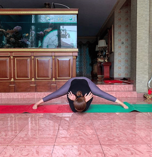 instagram.com/inul.d