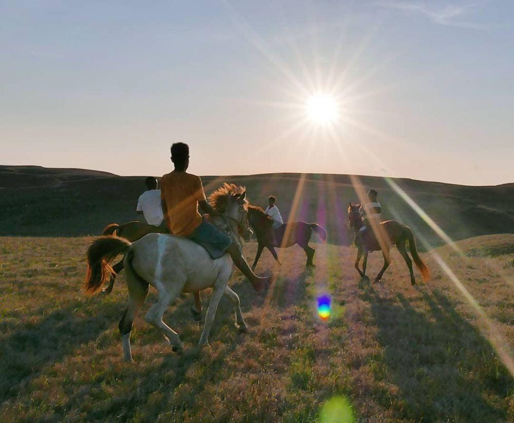 instagram.com/hamishdw