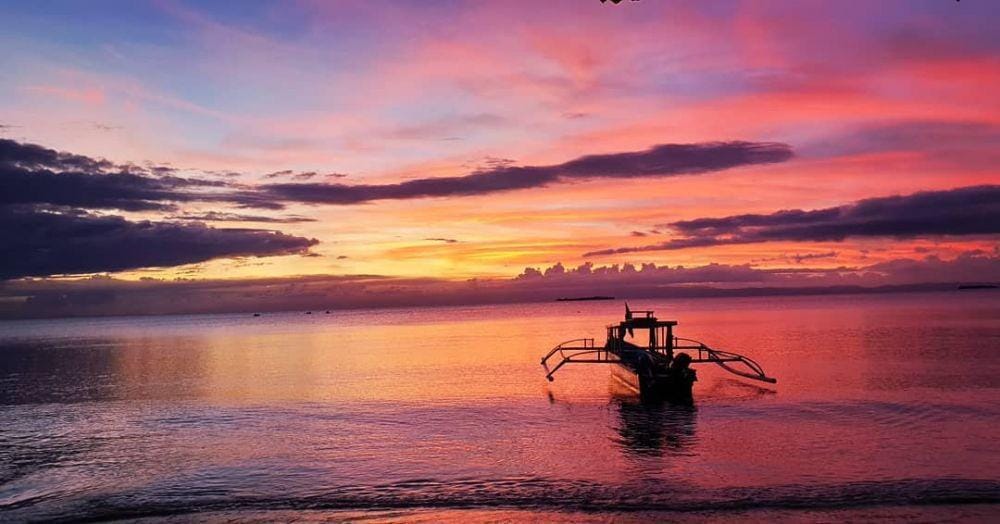 instagram.com/hamishdw