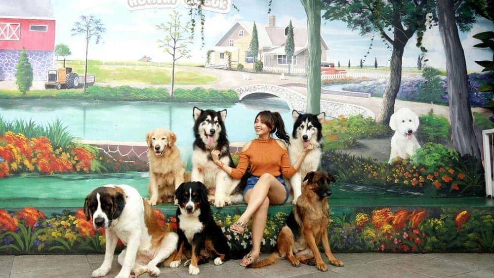 Instagram.com/oliviapardede