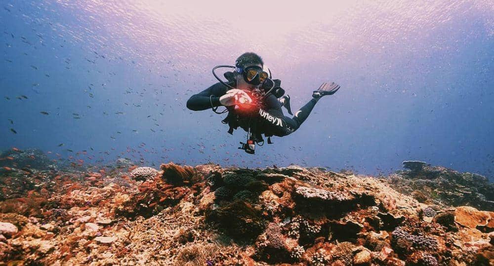 instagram.com/hamishdw