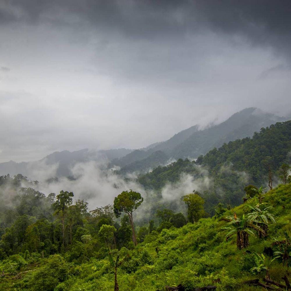 Instagram :@rio_ardie