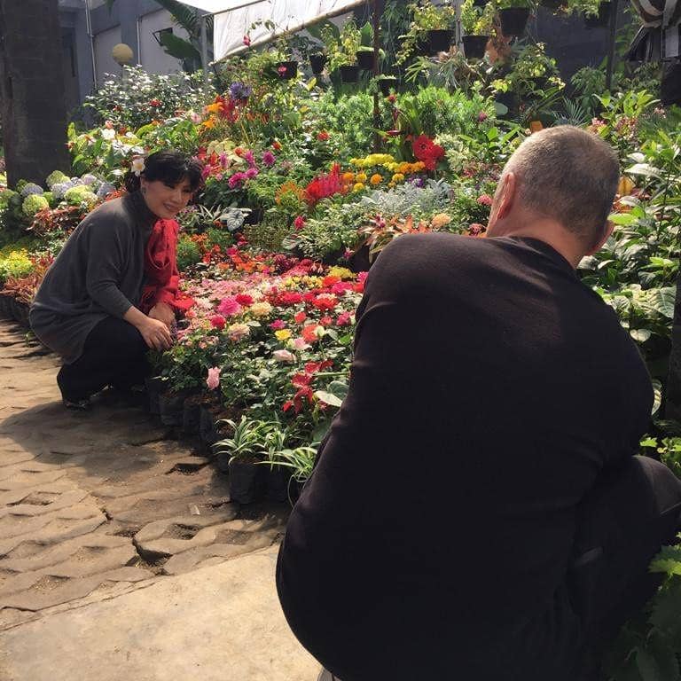 Instagram.com/@anneavantieheart