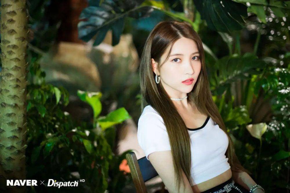 Naver x Dispatch via kpopping.com
