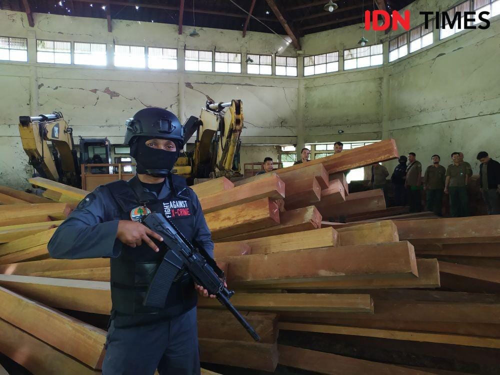 Kayu-kayu ilegal yang diamankan  Satuan Polisi Hutan Reaksi Cepat (SPORC) Brigade Enggang Seksi Wilayah II, Balai Penegakkan Hukum Kementerian Lingkungan Hidup dan Kehutanan (Gakkum KLHK) Wilayah Kalimantan (IDN Times/Yuda Almerio)