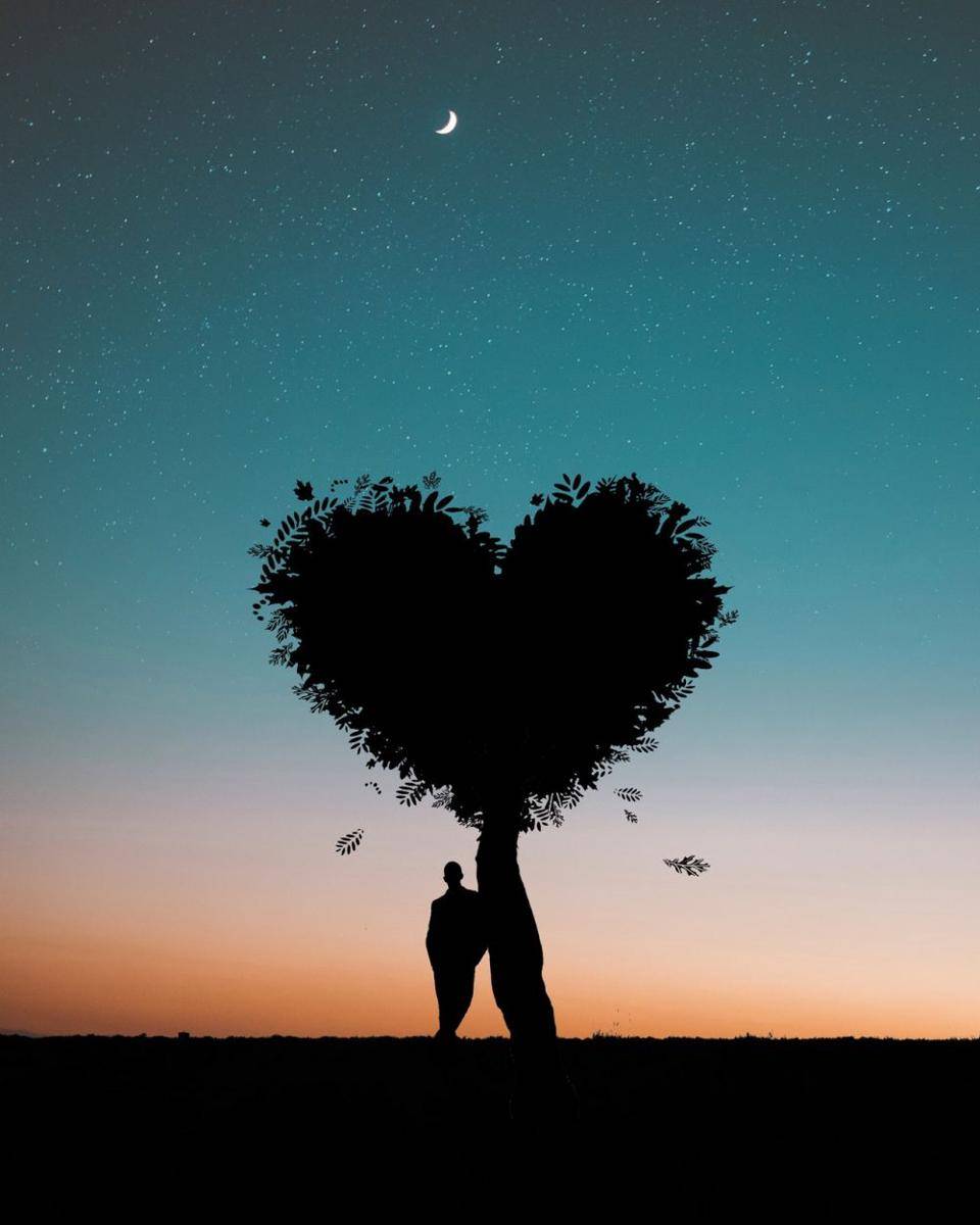 pexels.com/rakicevic nenad