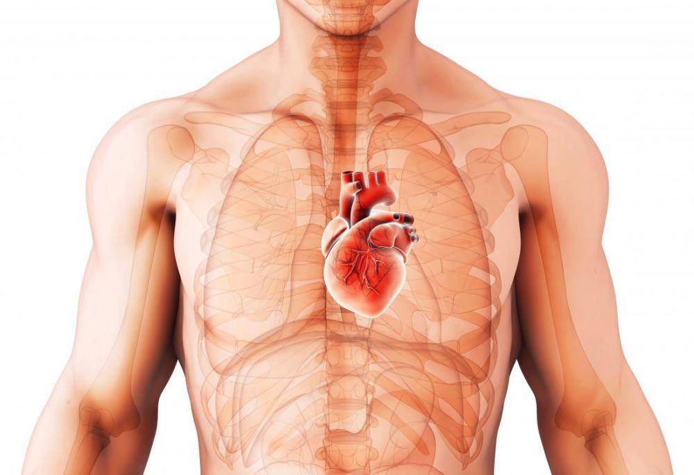 medicalnewstoday.com