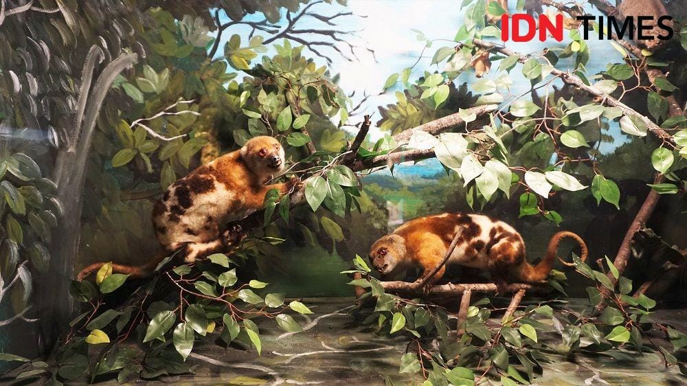 IDN Times/Karsa Adiguna