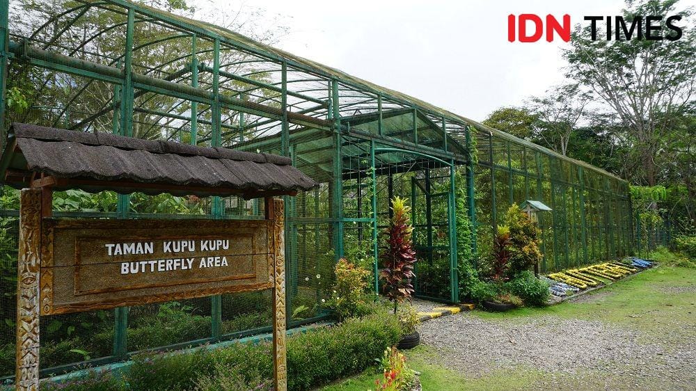 IDN Times/Karsa Adiguna