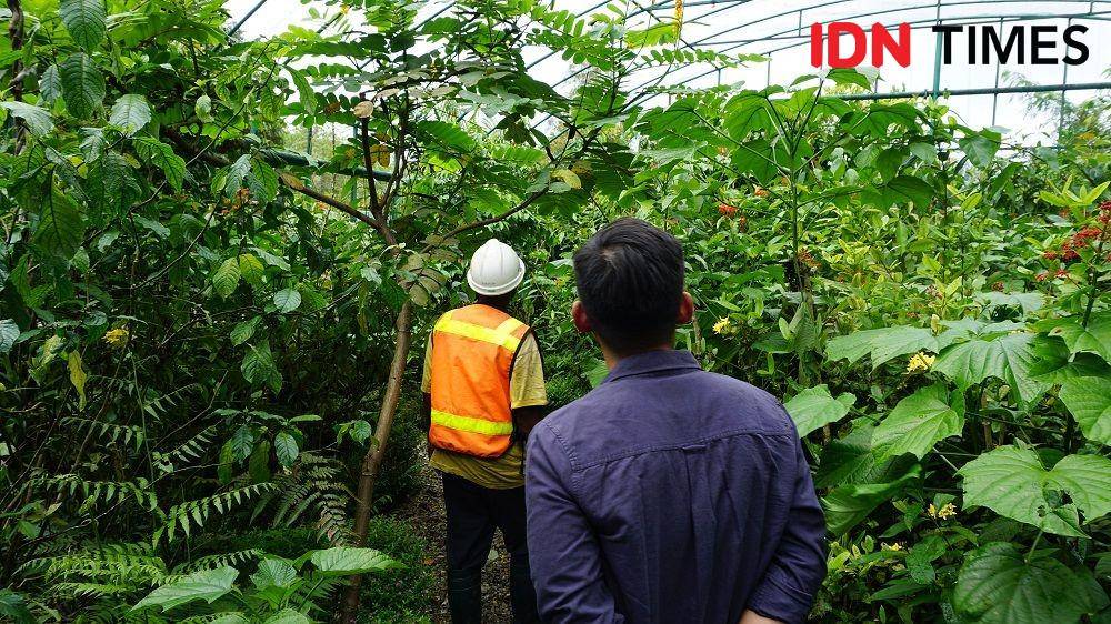 IDN Times/Karsa Adiguna