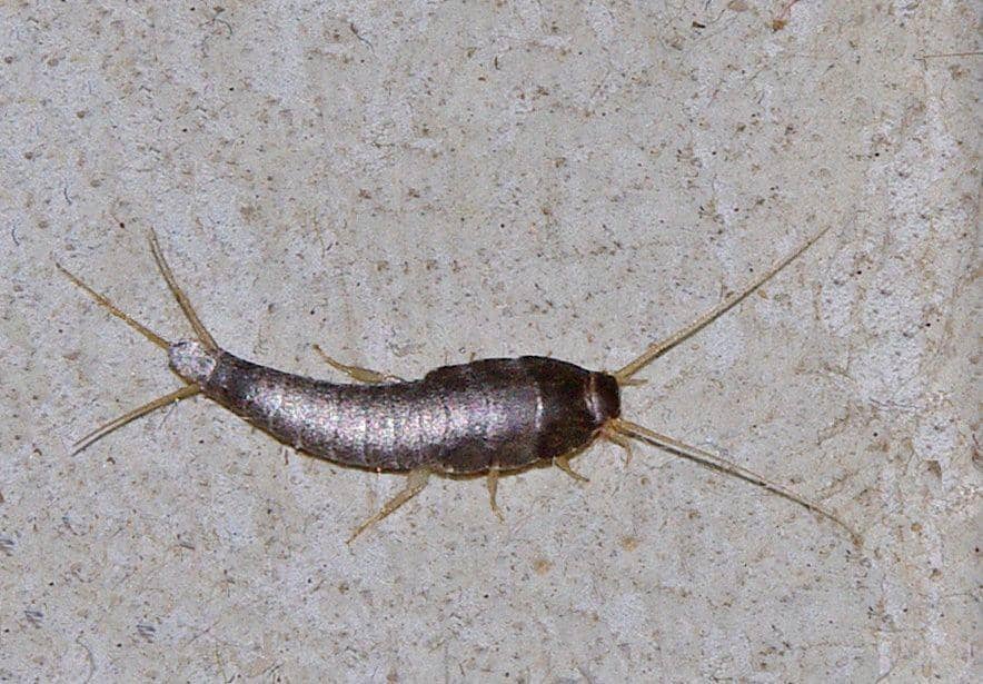 riveredgenaturecenter.org