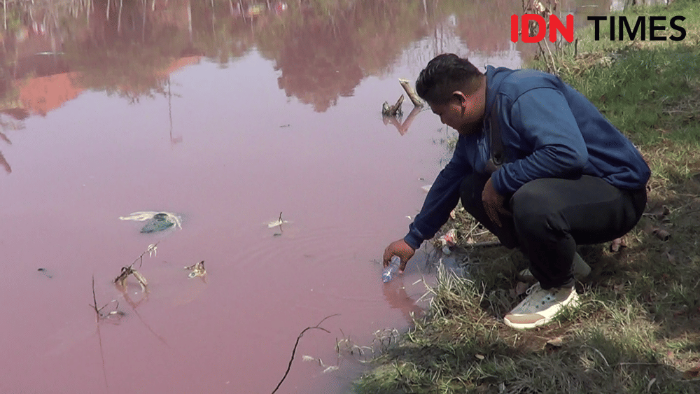 Tercemar limbah, Sungai Maribaya, Kecamatan Kramat, Kabupaten Tegal, aoirnya berwarna pink Selasa (26/11) siang, (IDN Times/Haikal Adithya)