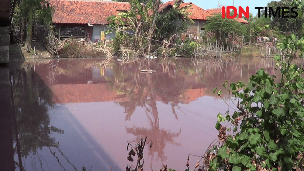 Teremar limbah, Sungai Maribaya, Kecamatan Kramat, Kabupaten Tegal, aoirnya berwarna pink Selasa (26/11) siang, (IDN Times/Haikal Adithya)