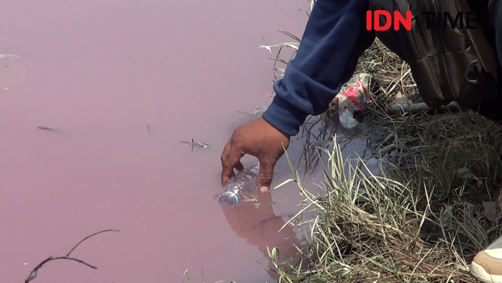 Tercemar limbah, Sungai Maribaya, Kecamatan Kramat, Kabupaten Tegal, aoirnya berwarna pink Selasa (26/11) siang, (IDN Times/Haikal Adithya)