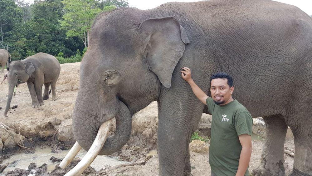 Pesona Tropis Alam Indonesia (IDN Times/Masdalena Napitupulu)