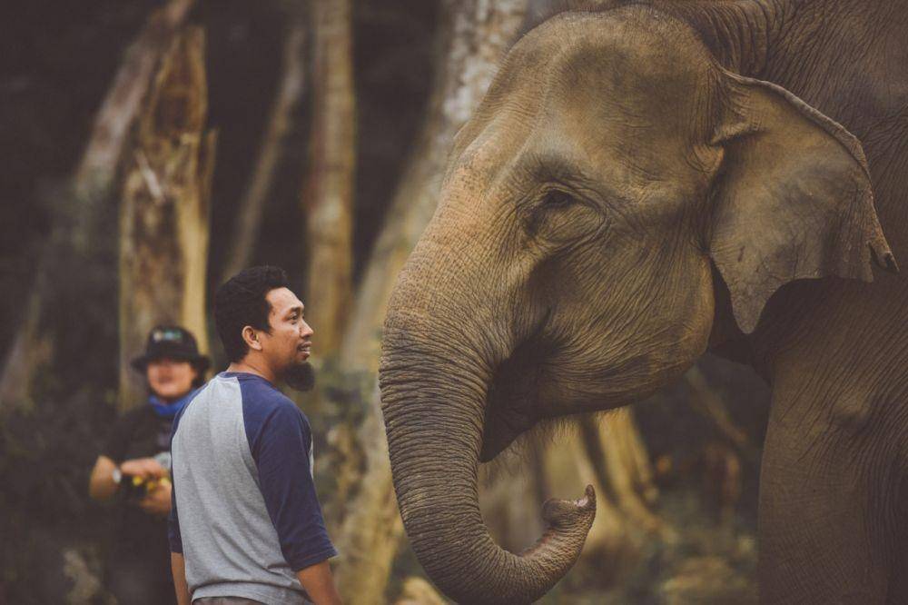 Pesona Tropis Alam Indonesia (IDN Times/Masdalena Napitupulu)