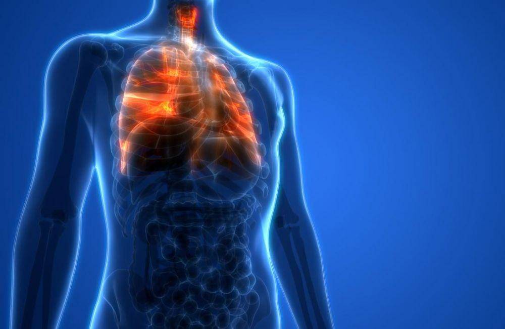 medicalnewstoday.com