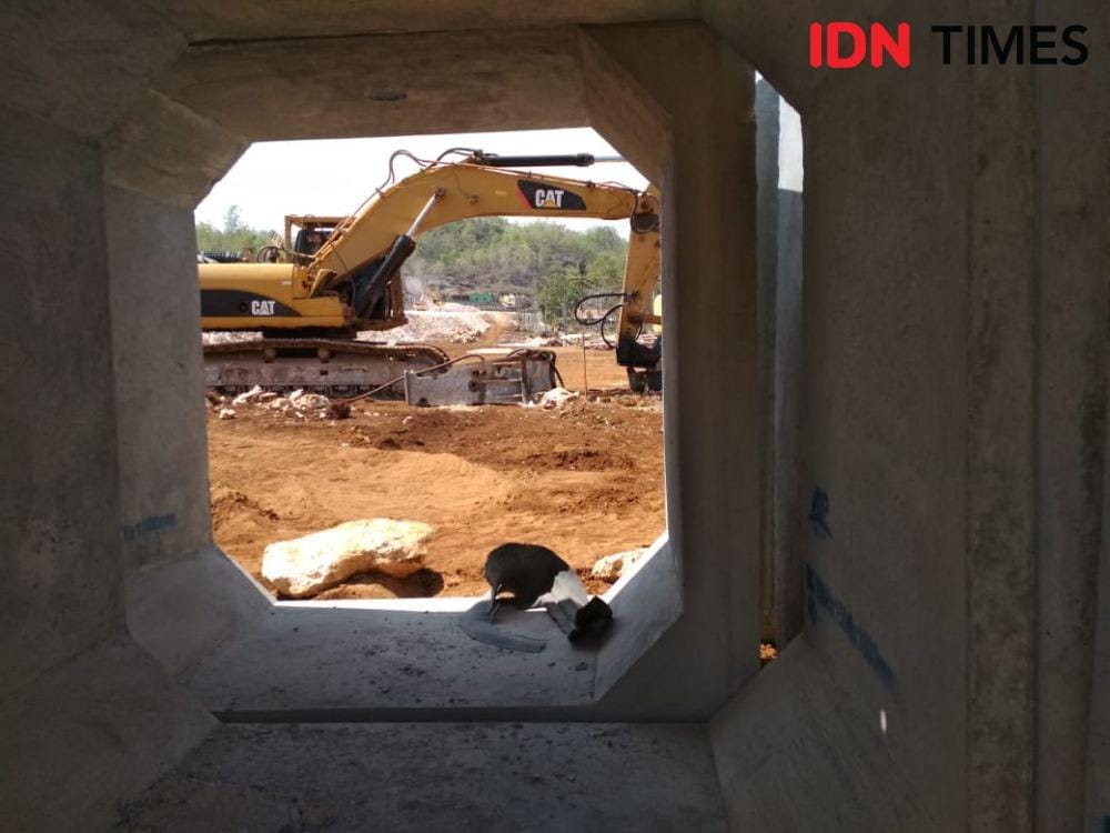 Pembuatan JJLS di Kecamatan Girisubo, Gunungkidul. IDN Times/febriana sinta