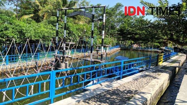 Suasana Kampung Flory - IDN Times/Rijalu Ahimsa