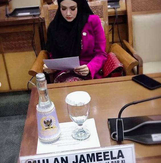 instagram.com/mulanjameelacenter