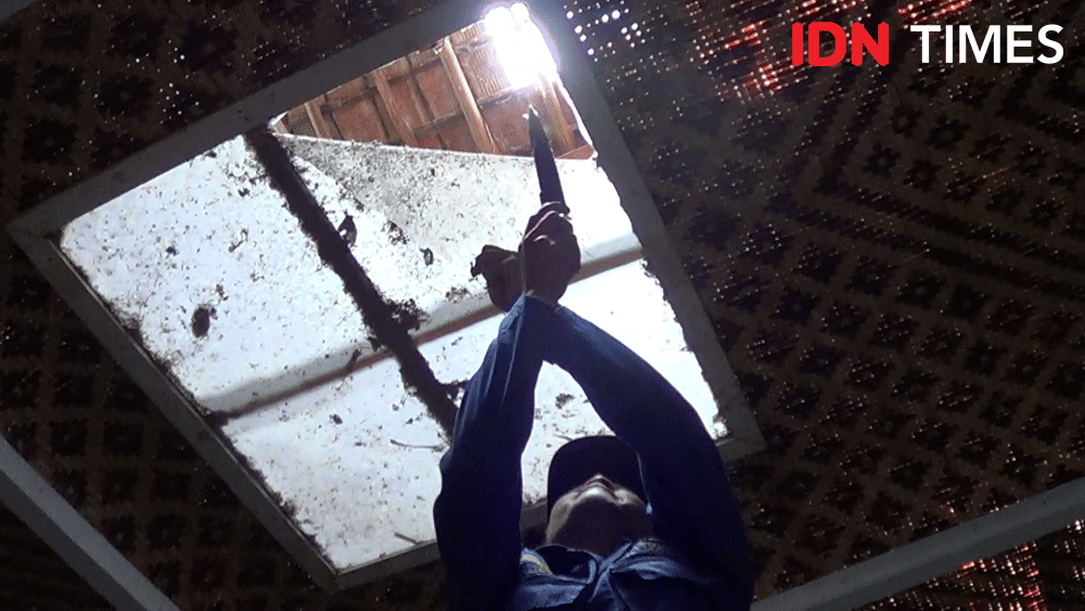 Petugas melakukan pemusnahan sarang tawon Vespa Affinis yang ada di rumah warga yang ada di Tegal, Rabu (27/11). (IDN Times/Haikal Adithya)