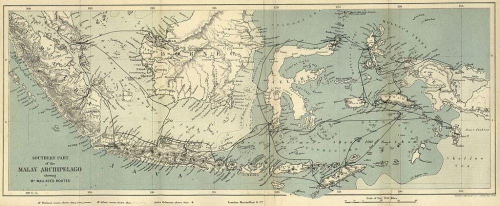 The Malay Archipelago, Macmillan, 1869 (Wikimedia Commons)