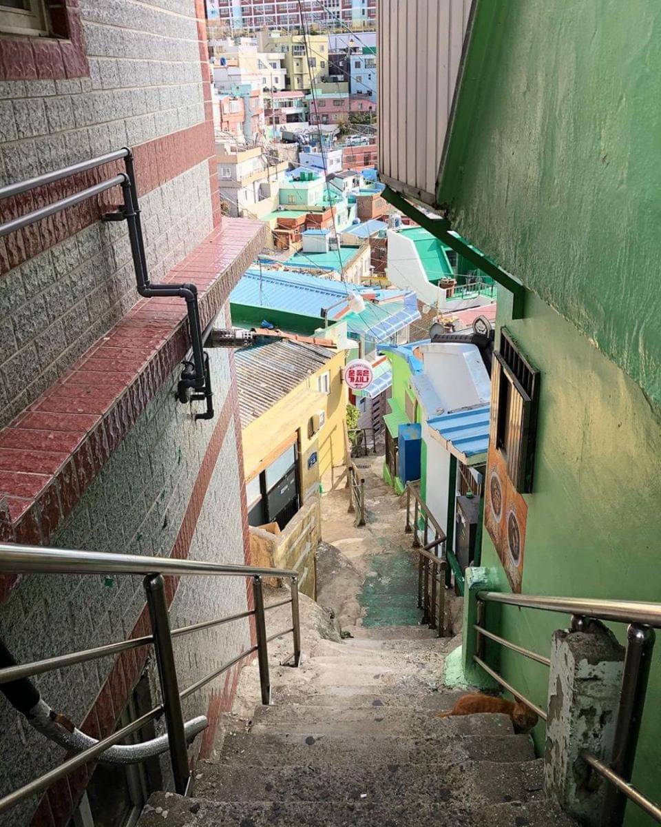 instagram.com/handyeats