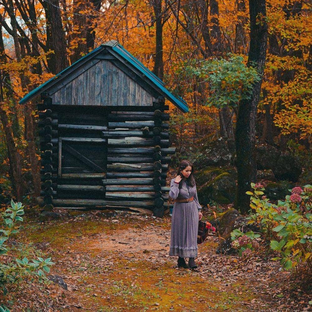 instagram.com/j.carlosteles