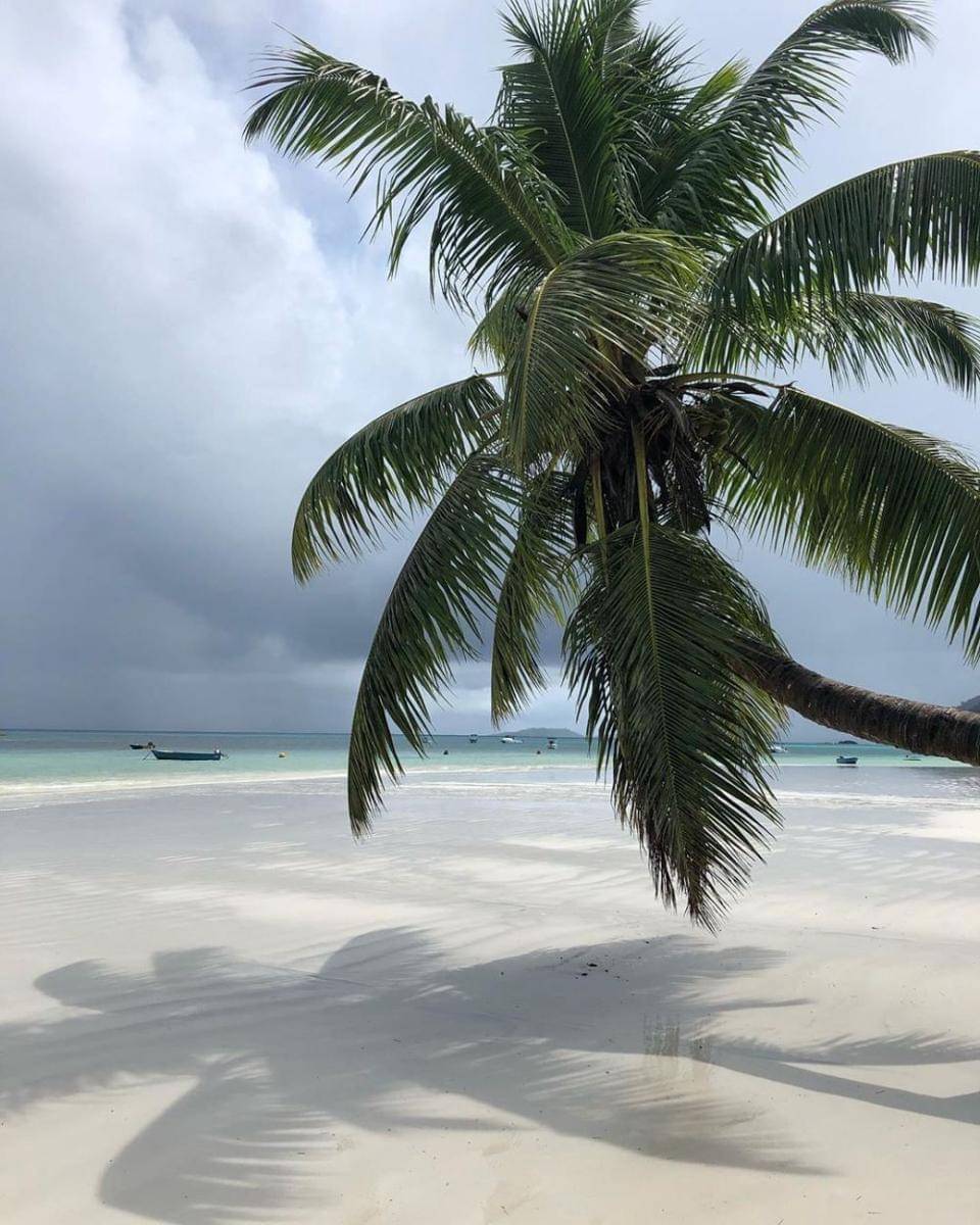 instagram.com/world.amore