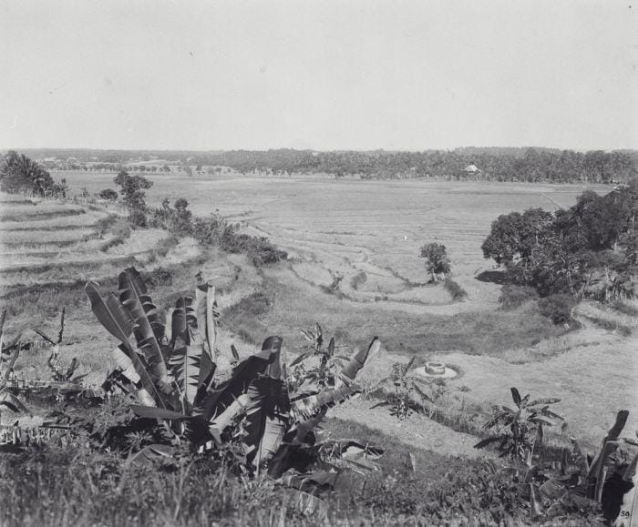 Collectie Tropenmuseum