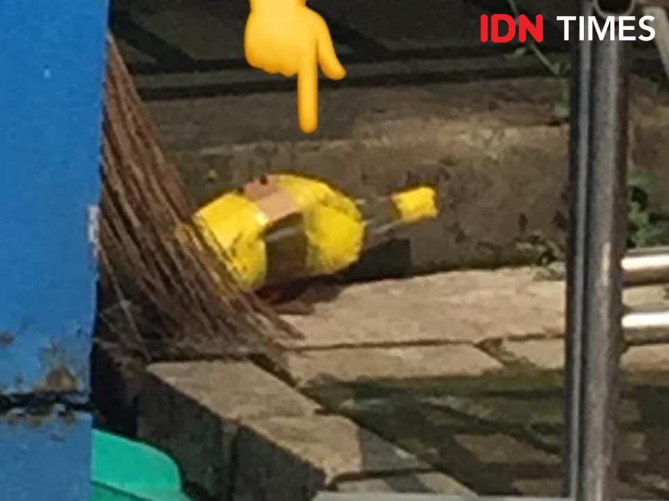 IDN Times/Candra Irawan