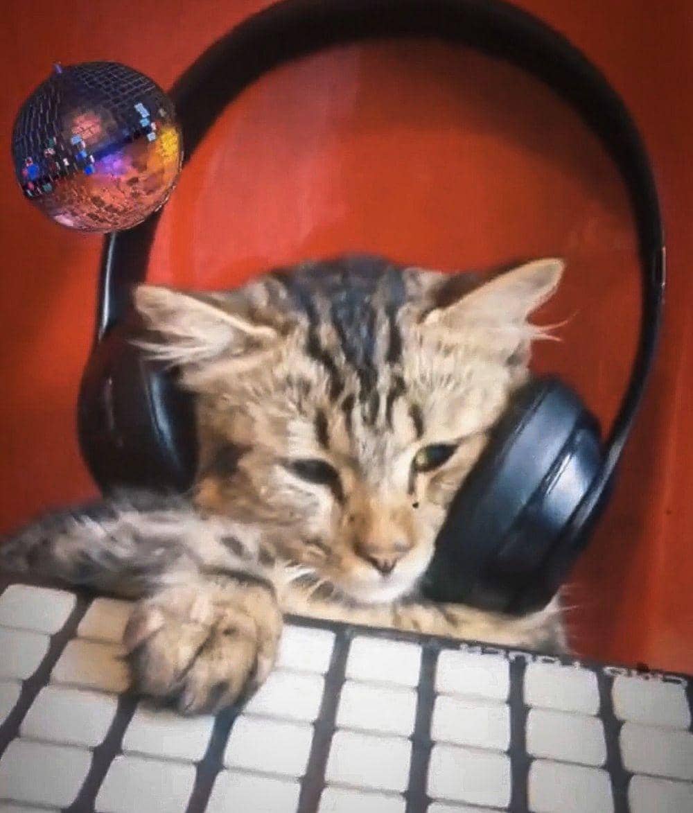 Twitter.com/zackyhilmy