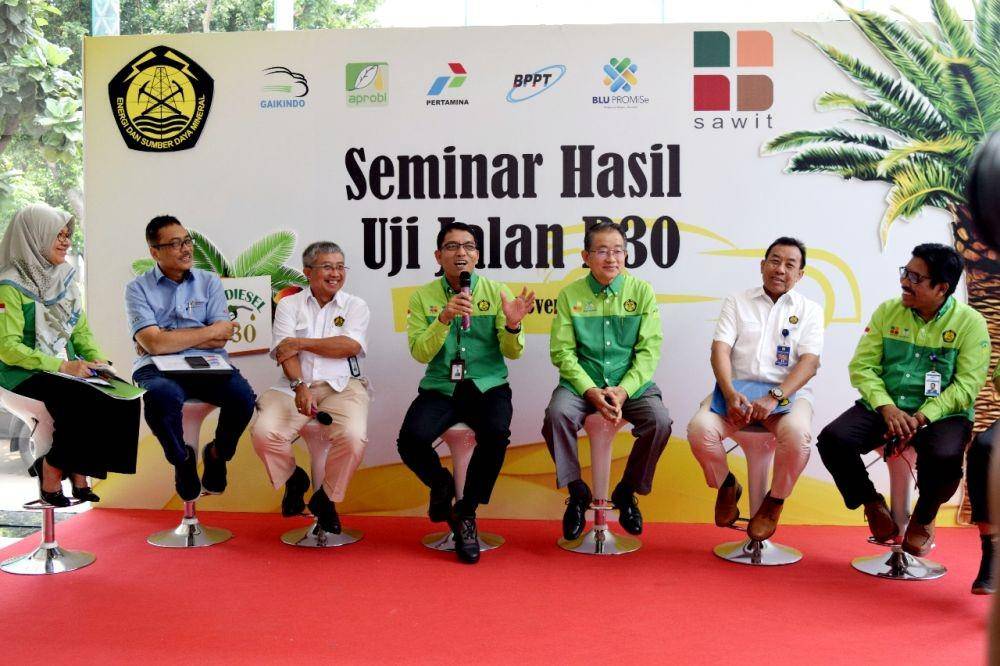 IDN Times/Kementerian ESDM