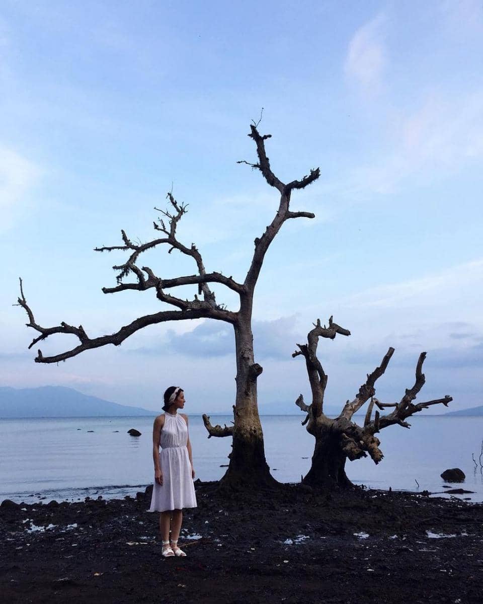 instagram.com/julstelle