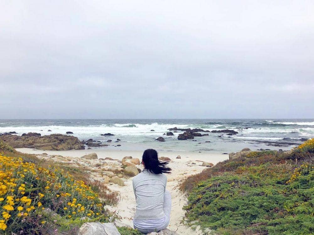 instagram.com/julstelle