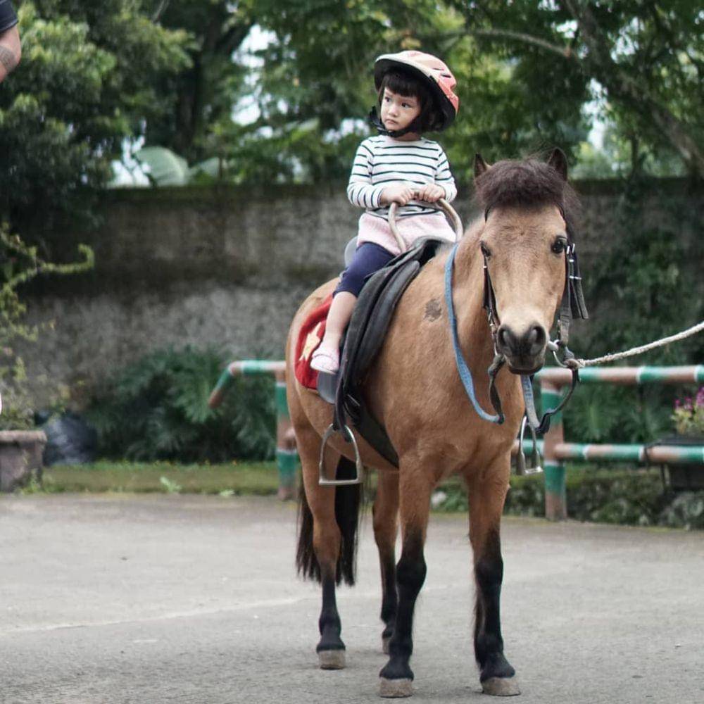 Instagram.com/riodewanto