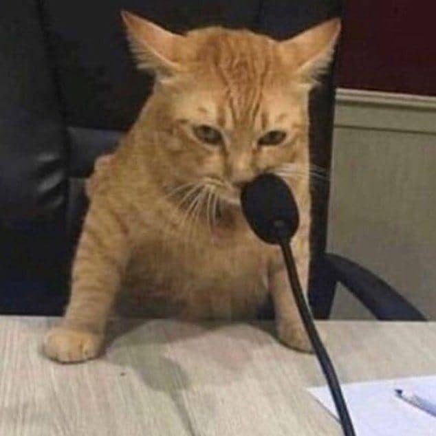 Twitter.com/animalfess