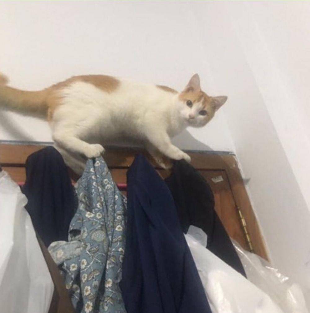 Twitter.com/dizasays