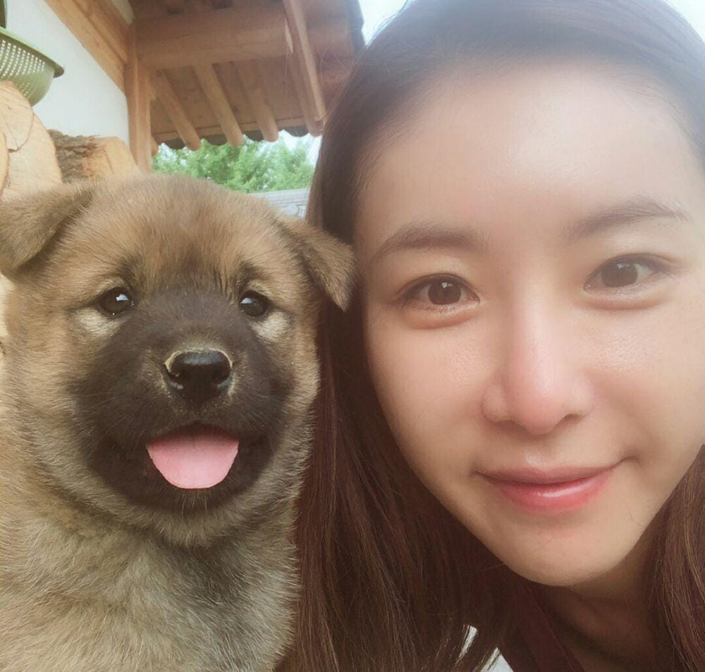 Instagram.com/dagam_han