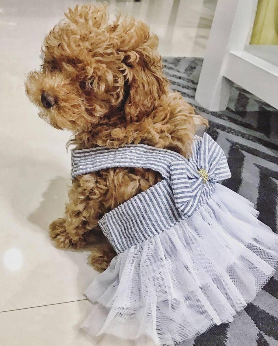 Instagram/hellooyeppo