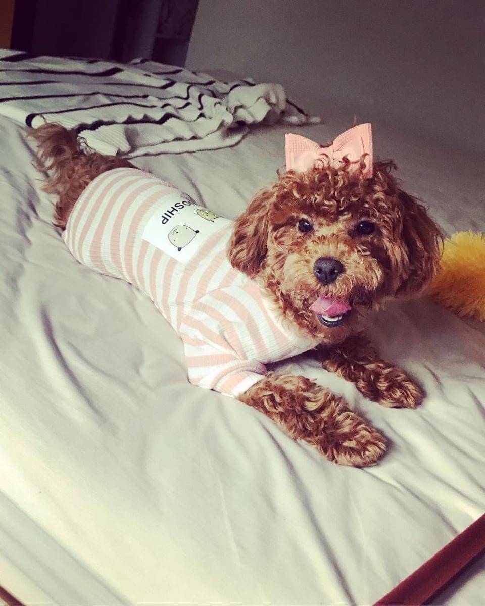 Instagram/hellooyeppo