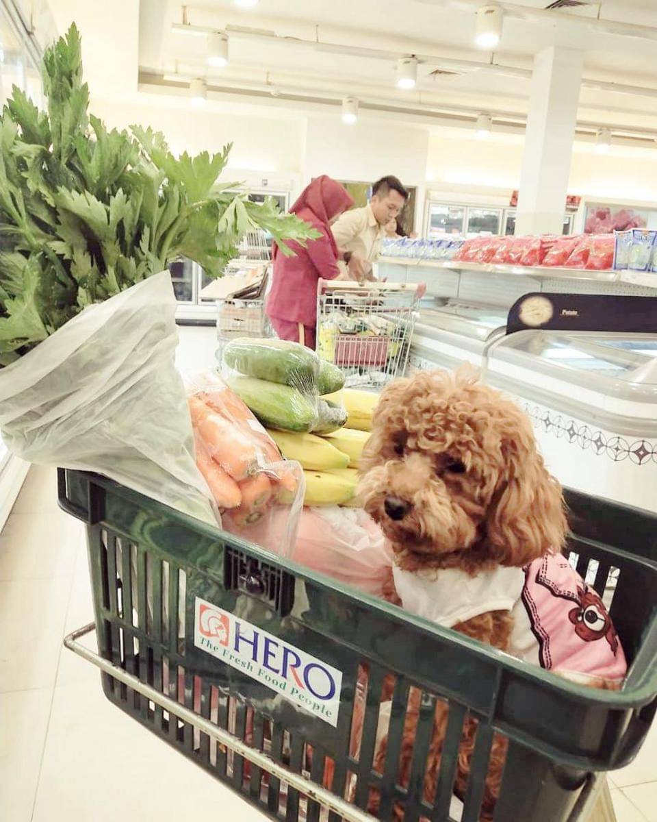 Instagram/hellooyeppo