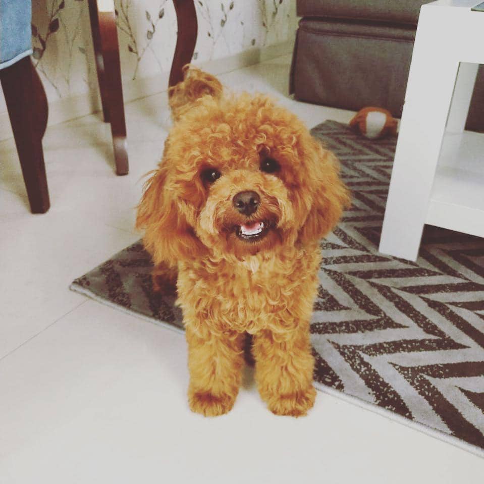 Instagram/hellooyeppo