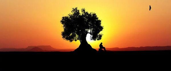 Pixabay.com/rauschenberger-4614580