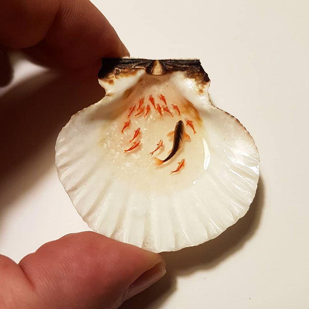 Instagram/@hasankale_microangelo